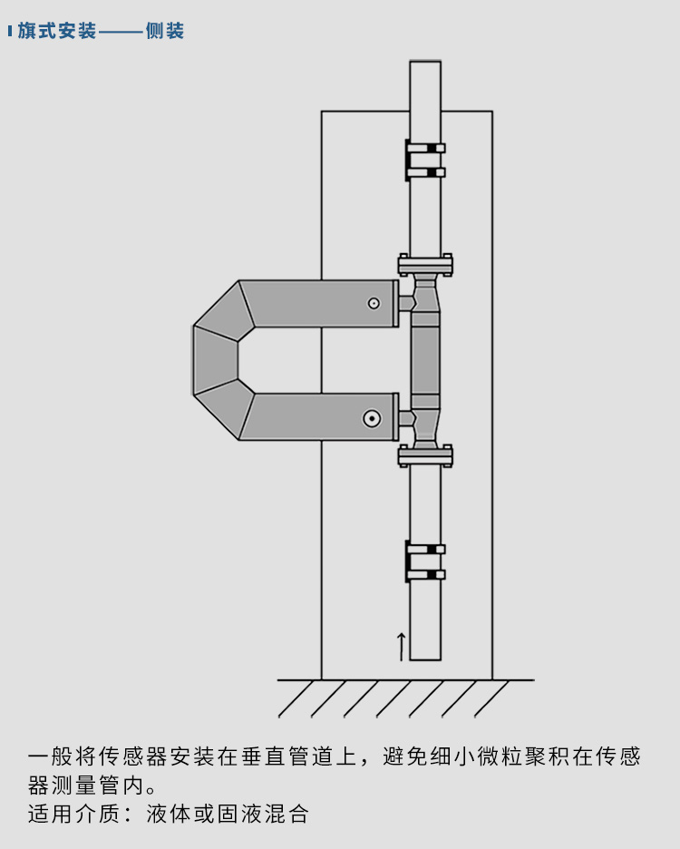 數(shù)顯質(zhì)量流量計(jì)垂直安裝示意圖